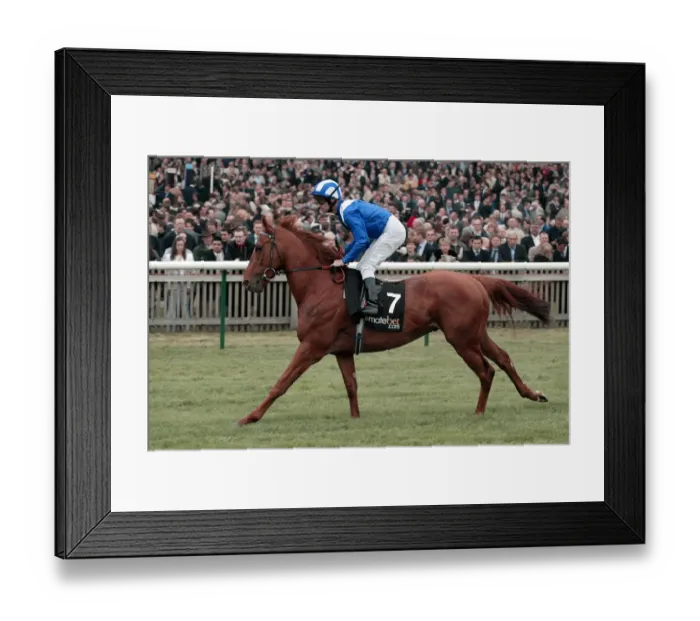 Framed Print : Haafhd Ridden By R.Hills Newmarket Guineas Festival 04 Newmarket Racecourse Framed Print : Haafhd Ridden By R.Hills Newmarket Guineas Festival 04 Newmarket Racecourse