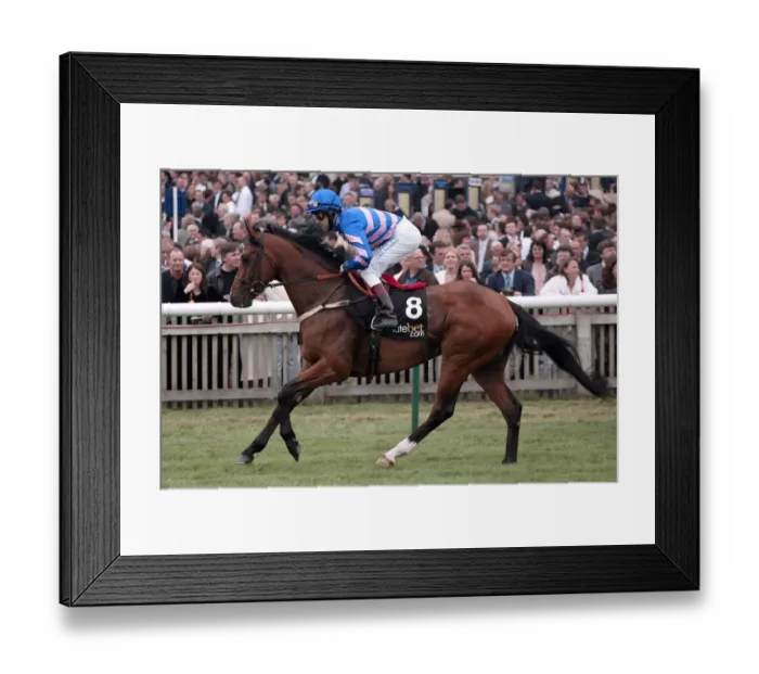 Framed Print : Milk It Mick Framed Print : Milk It Mick
