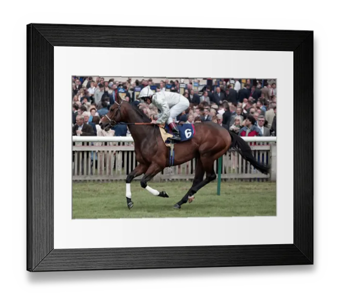 Framed Print : Mazepa Ridden By L.Dettori Newmarket Guineas Festival 04 Newmarket Racecourse Framed Print : Mazepa Ridden By L.Dettori Newmarket Guineas Festival 04 Newmarket Racecourse
