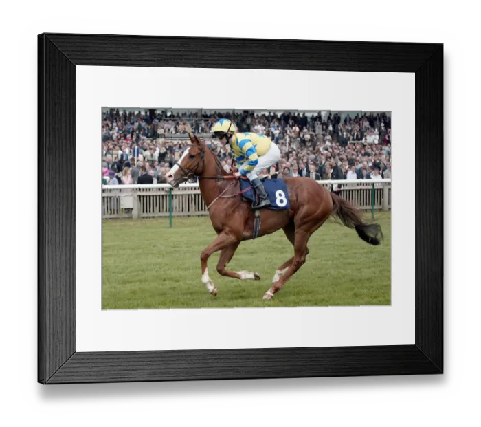 Framed Print : Zilch Ridden By I.Mongan Newmarket Guineas Festival 04 Newmarket Racecourse Framed Print : Zilch Ridden By I.Mongan Newmarket Guineas Festival 04 Newmarket Racecourse