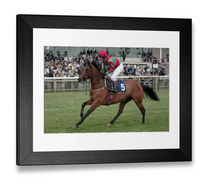 Framed Print : Najaaba Ridden By B.Reily Newmarket Guineas Festival 04 Newmarket Racecourse Framed Print : Najaaba Ridden By B.Reily Newmarket Guineas Festival 04 Newmarket Racecourse