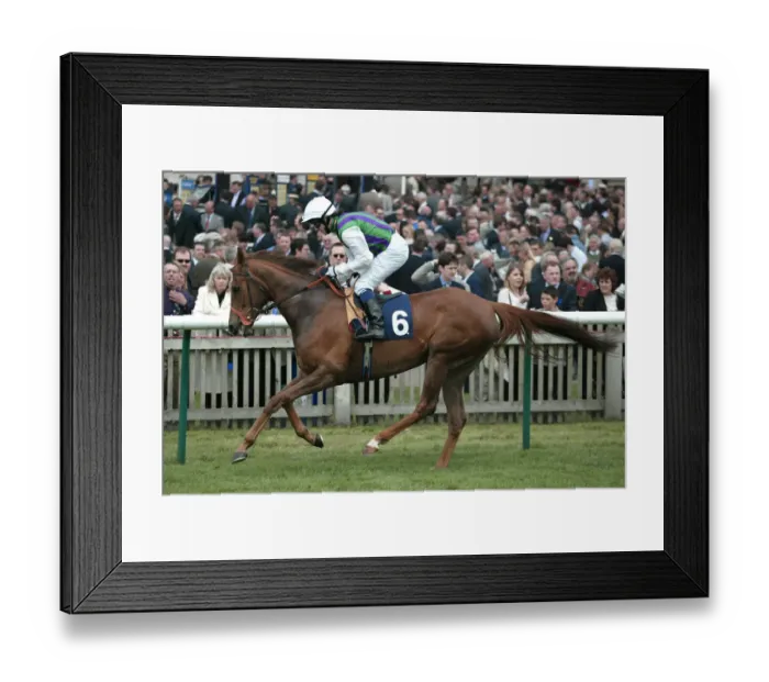 Framed Print : Silence Is Golden Framed Print : Silence Is Golden