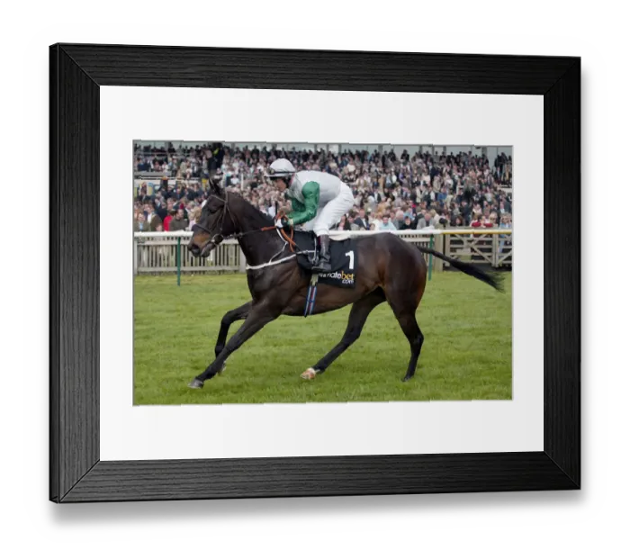Framed Print : Attraction Framed Print : Attraction
