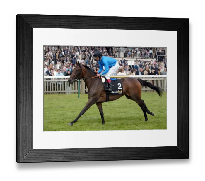 Framed Print : Cairns Ridden By J.Carroll Newmarket Guineas Festival 04 Newmarket Racecourse Framed Print : Cairns Ridden By J.Carroll Newmarket Guineas Festival 04 Newmarket Racecourse