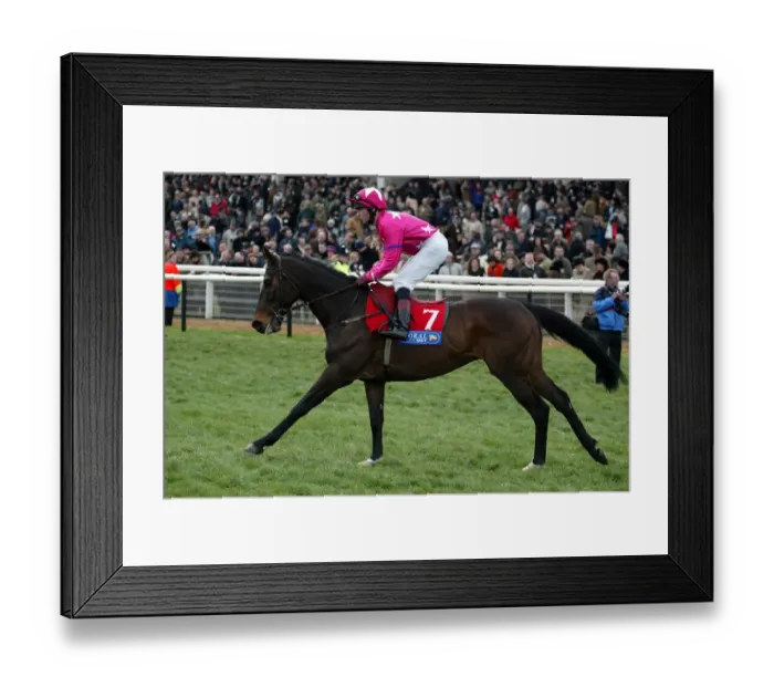 Framed Print : Polar Champ