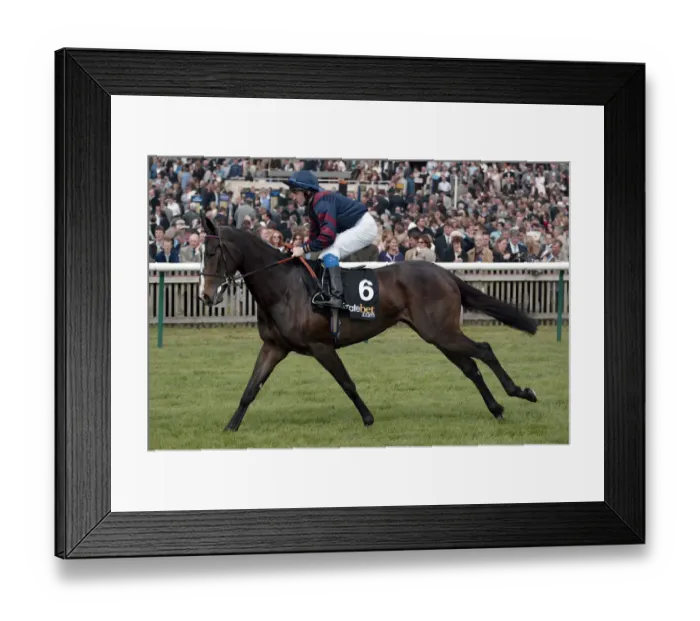 Framed Print : Jath Ridden By N.Callan Newmarket Guineas Festival 04 Newmarket Racecourse Framed Print : Jath Ridden By N.Callan Newmarket Guineas Festival 04 Newmarket Racecourse