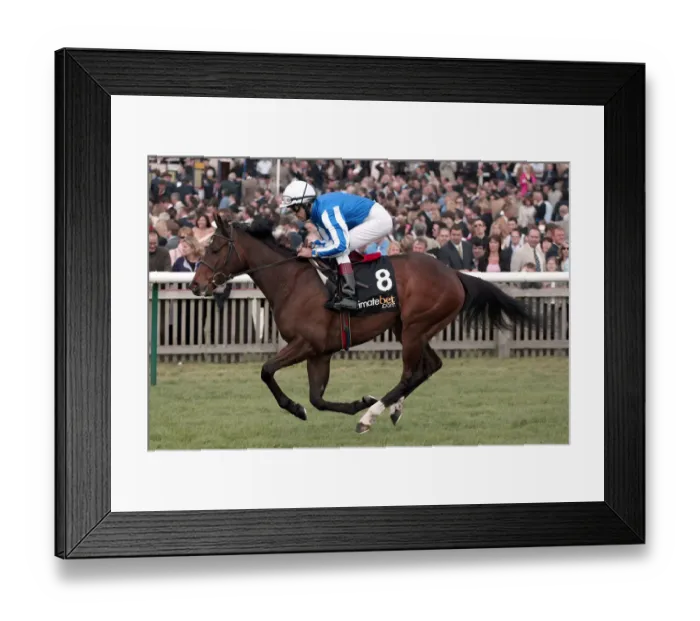 Framed Print : Majestic Desert Framed Print : Majestic Desert