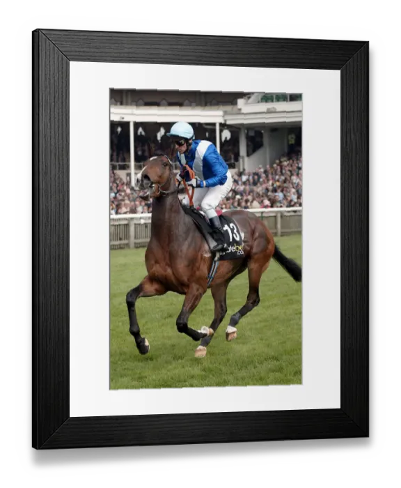Framed Print : Secret Charm Framed Print : Secret Charm