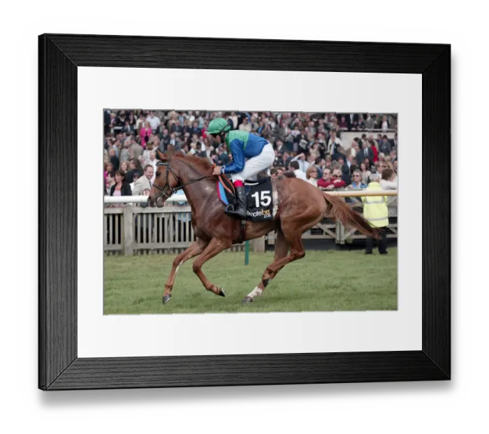 Framed Print : Spotlight Ridden By E.Ahern Newmarket Guineas Festival 04 Newmarket Racecourse Framed Print : Spotlight Ridden By E.Ahern Newmarket Guineas Festival 04 Newmarket Racecourse
