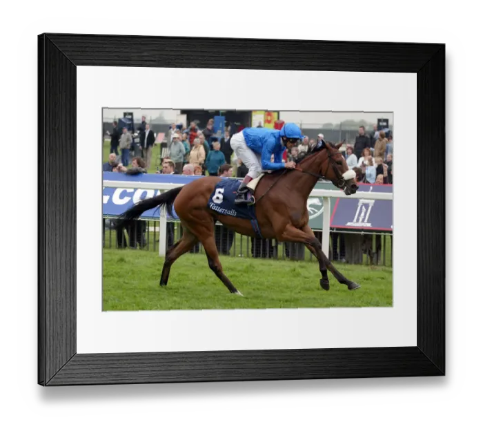 Framed Print : Punctilious Framed Print : Punctilious