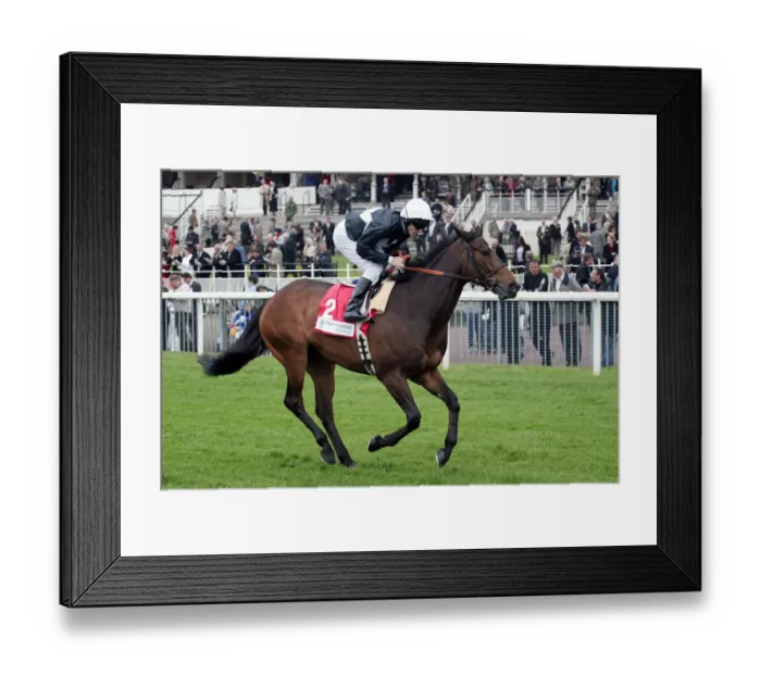 Framed Print : Just James Framed Print : Just James