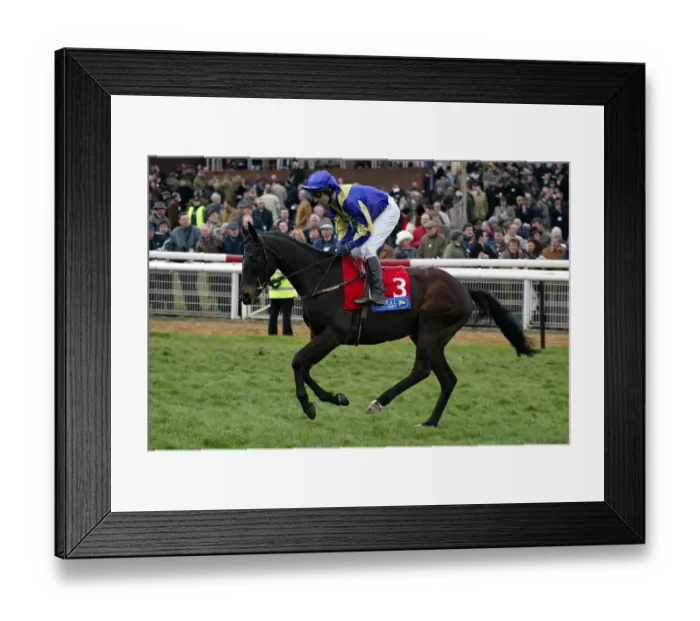 Framed Print : Ilnamar Ridden By R.Greene Cheltenham Festival 2002 Cheltenham Racecourse