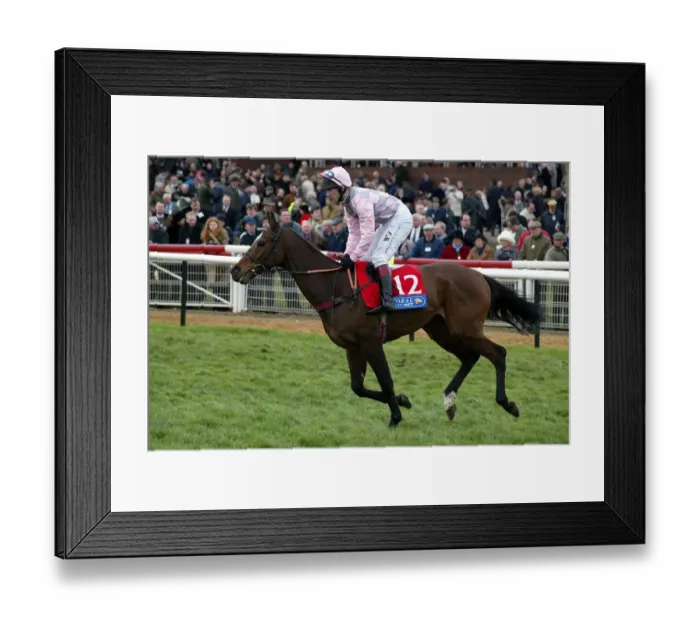 Framed Print : Tensile Ridden By R.Johnston Cheltenham Festival 2002 Cheltenham Racecourse Framed Print : Tensile Ridden By R.Johnston Cheltenham Festival 2002 Cheltenham Racecourse