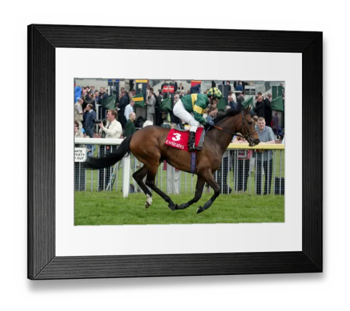 Framed Print : Millenary Ridden By T.Quinn York May Meeting 2004 York Racecourse Framed Print : Millenary Ridden By T.Quinn York May Meeting 2004 York Racecourse