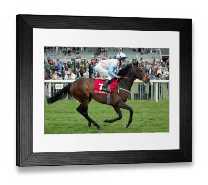 Framed Print : Morozov Ridden By I.Mongan York May Meeting 2004 York Racecourse Framed Print : Morozov Ridden By I.Mongan York May Meeting 2004 York Racecourse