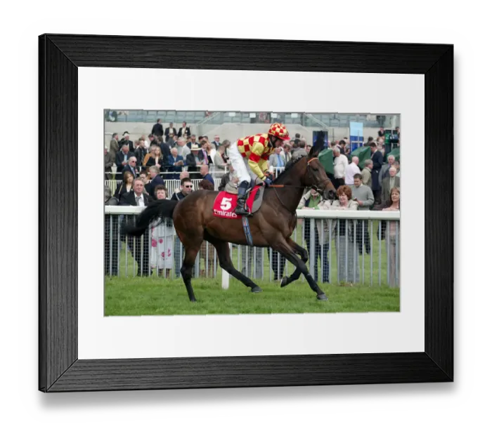 Framed Print : Jelani Ridden By M.J.Kinane York May Meeting 2004 York Racecourse Framed Print : Jelani Ridden By M.J.Kinane York May Meeting 2004 York Racecourse
