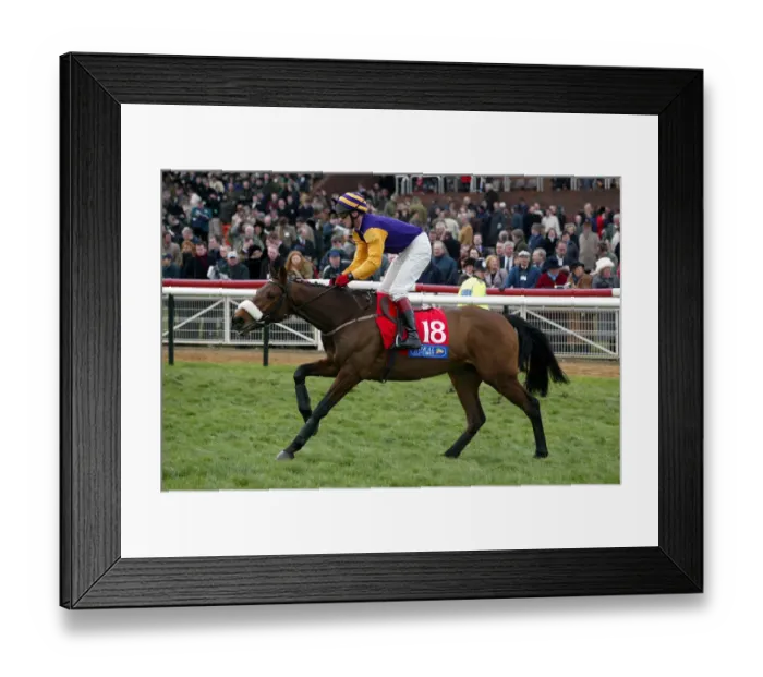 Framed Print : Fnan Ridden By P.Carberry Cheltenham Festival 2002 Cheltenham Racecourse Framed Print : Fnan Ridden By P.Carberry Cheltenham Festival 2002 Cheltenham Racecourse
