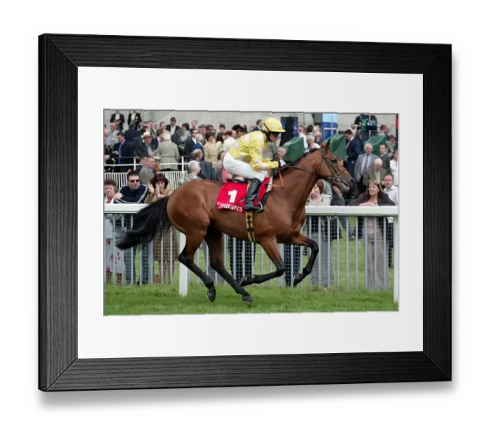Framed Print : Mr Dinos Ridden By K.Fallon York May Meeting 2004 York Racecourse Framed Print : Mr Dinos Ridden By K.Fallon York May Meeting 2004 York Racecourse