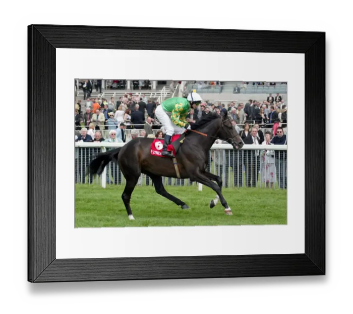 Framed Print : Maktub Ridden By P.Robinson York May Meeting 2004 York Racecourse Framed Print : Maktub Ridden By P.Robinson York May Meeting 2004 York Racecourse