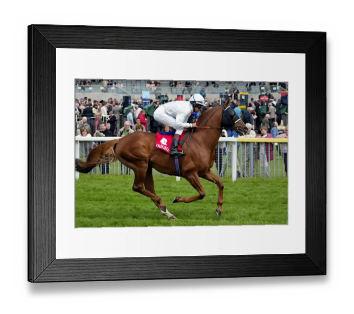 Framed Print : Dutch Gold Framed Print : Dutch Gold