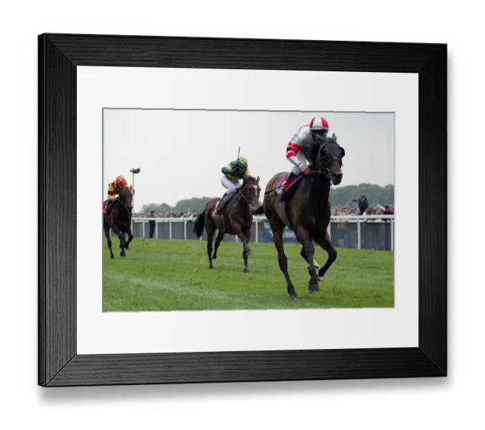 Framed Print : Millenary Ridden By T.Quinn York May Meeting 2004 York Racecourse Framed Print : Millenary Ridden By T.Quinn York May Meeting 2004 York Racecourse
