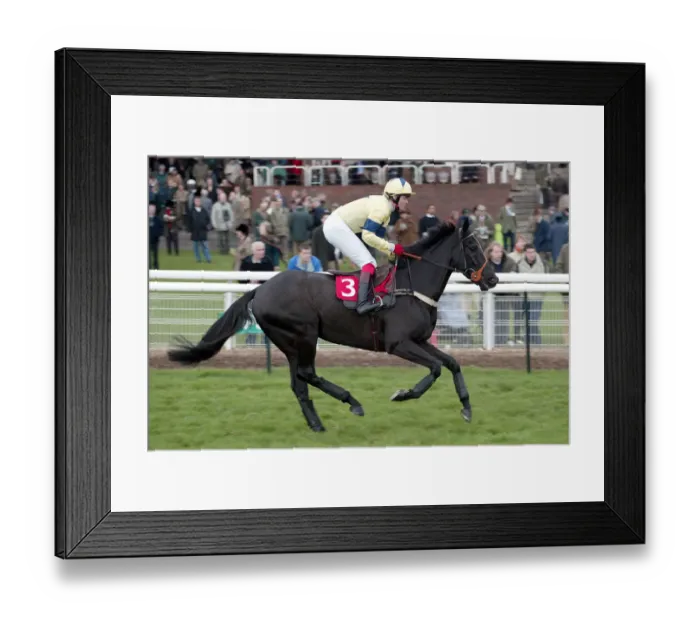 Framed Print : Nyrche Ridden By R.Thornton Cheltenham Open Meeting 2004 Cheltenham Racecourse Framed Print : Nyrche Ridden By R.Thornton Cheltenham Open Meeting 2004 Cheltenham Racecourse