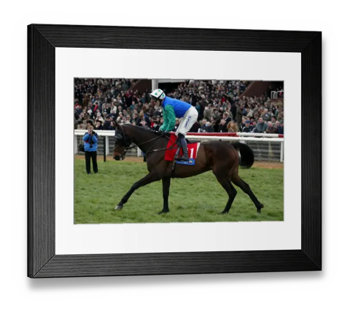 Framed Print : Golden Alpha