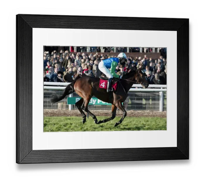 Framed Print : Theralbandit Framed Print : Theralbandit