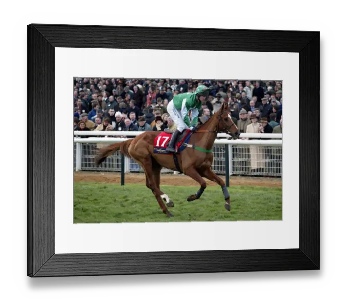Framed Print : Southern Star Framed Print : Southern Star