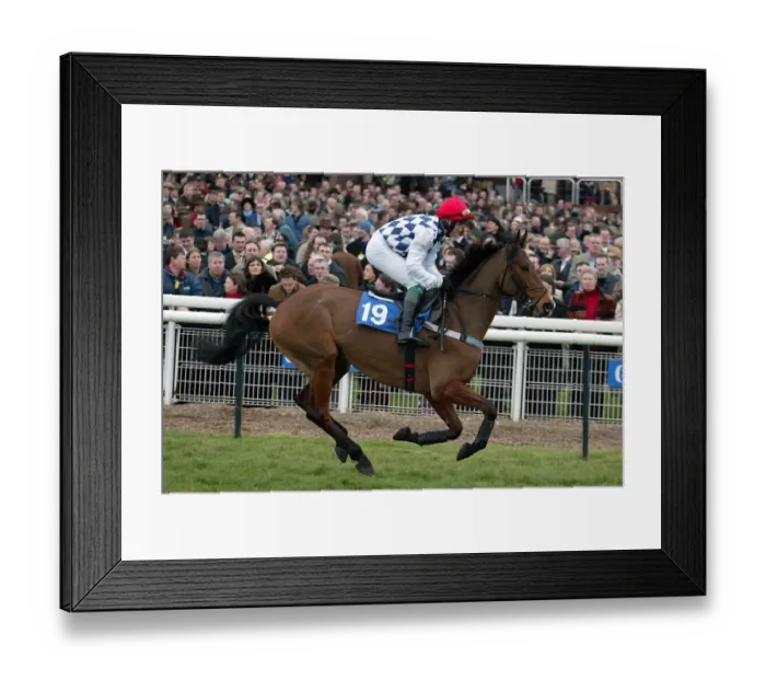 Framed Print : Villon Ridden By A.Dobbin Cheltenham Festival 2005 Cheltenham Racecourse Framed Print : Villon Ridden By A.Dobbin Cheltenham Festival 2005 Cheltenham Racecourse