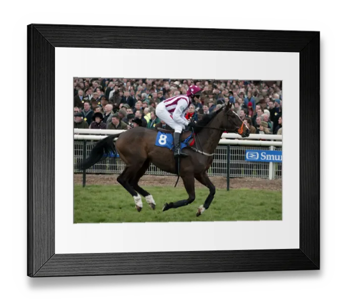 Framed Print : Justified Ridden By J.R.Barry Cheltenham Festival 2005 Cheltenham Racecourse Framed Print : Justified Ridden By J.R.Barry Cheltenham Festival 2005 Cheltenham Racecourse