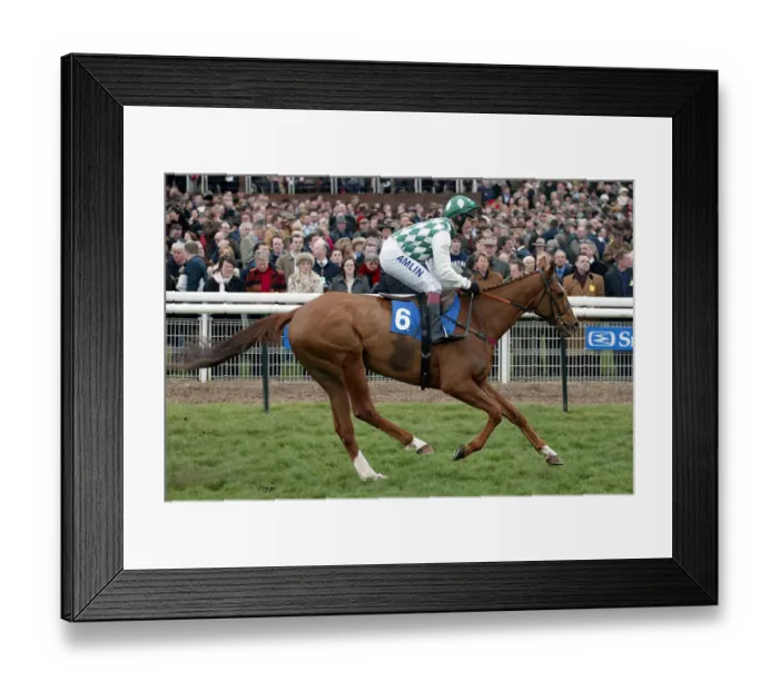 Framed Print : Chilling Place