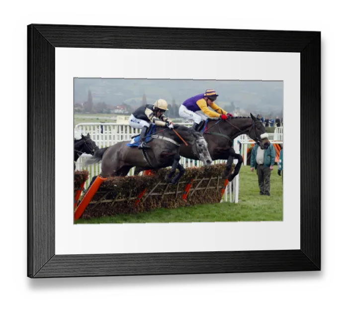 Framed Print : Winner Arcalis & Wild Passions Framed Print : Winner Arcalis & Wild Passions