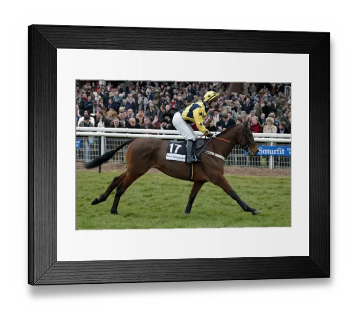 Framed Print : Mondul Ridden By S.Durack Cheltenham Festival 2005 Cheltenham Racecourse