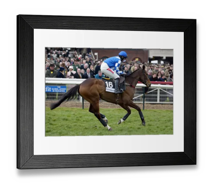 Framed Print : Mambo Des Mottes Framed Print : Mambo Des Mottes