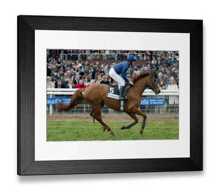 Framed Print : Ned Kelly Ridden By D.N.Russell Cheltenham Festival 2005 Cheltenham Racecourse Framed Print : Ned Kelly Ridden By D.N.Russell Cheltenham Festival 2005 Cheltenham Racecourse