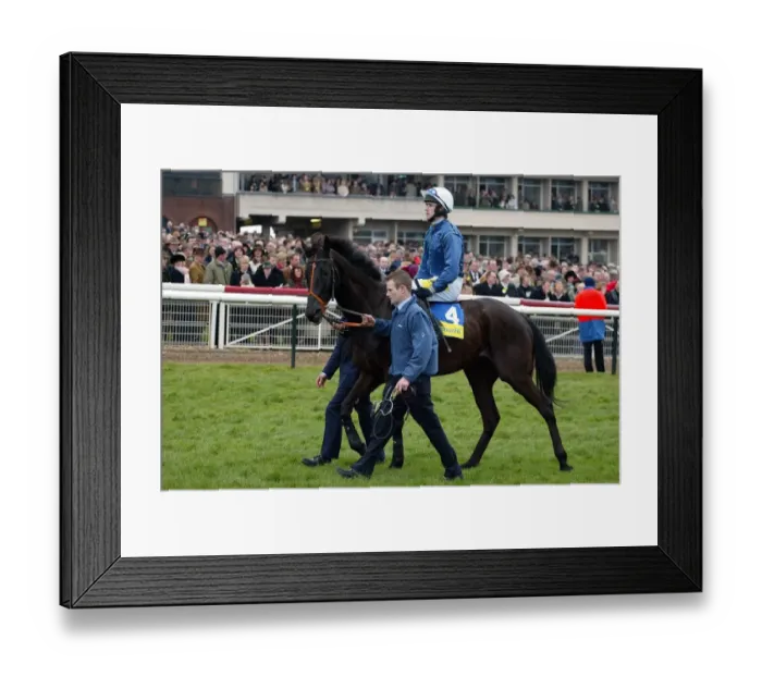 Framed Print : Back In Front Framed Print : Back In Front