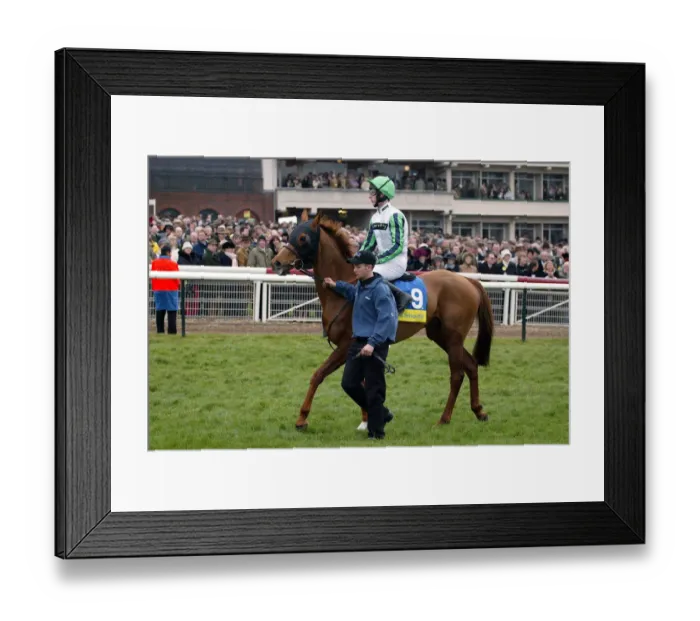 Framed Print : Intersky Falcon