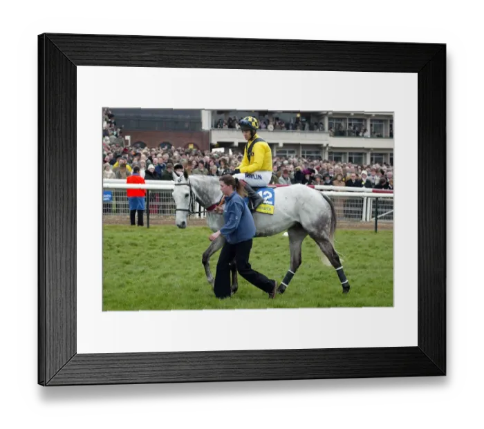 Framed Print : Rooster Booster Framed Print : Rooster Booster