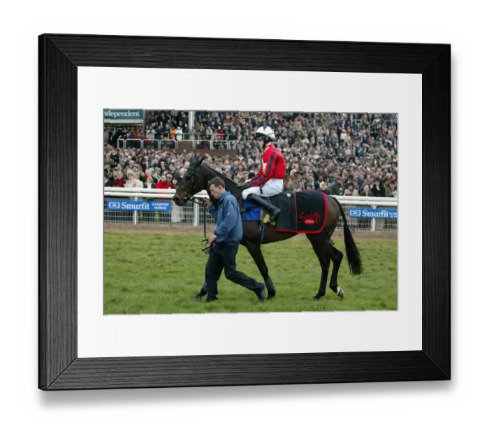Framed Print : Turnium Ridden By James Davies Cheltenham Festival 2005 Cheltenham Racecourse Framed Print : Turnium Ridden By James Davies Cheltenham Festival 2005 Cheltenham Racecourse
