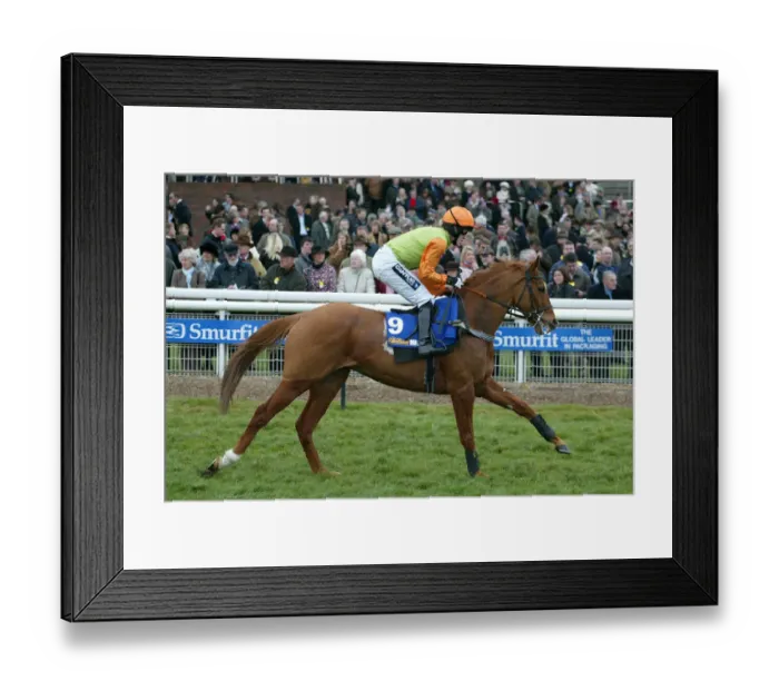 Framed Print : Tikram Ridden By A.P.Mccoy Cheltenham Festival 2005 Cheltenham Racecourse Framed Print : Tikram Ridden By A.P.Mccoy Cheltenham Festival 2005 Cheltenham Racecourse