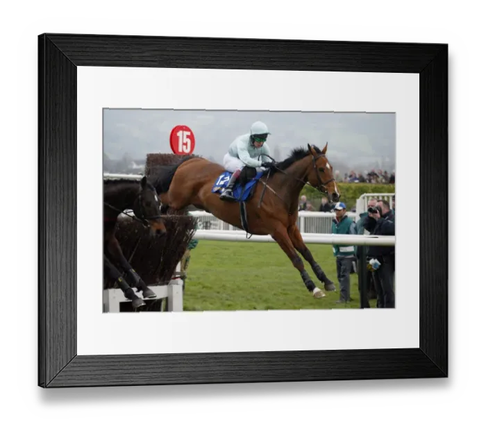 Framed Print : Jakari Ridden By R.Johnson Cheltenham Festival 2005 Cheltenham Racecourse Framed Print : Jakari Ridden By R.Johnson Cheltenham Festival 2005 Cheltenham Racecourse