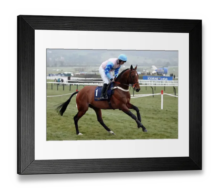 Framed Print : Bagan Ridden By N.Fehily Cheltenham Festival 2005 Cheltenham Racecourse Framed Print : Bagan Ridden By N.Fehily Cheltenham Festival 2005 Cheltenham Racecourse
