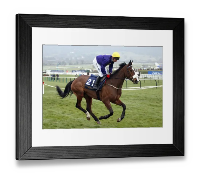 Framed Print : Queen Astrid Framed Print : Queen Astrid