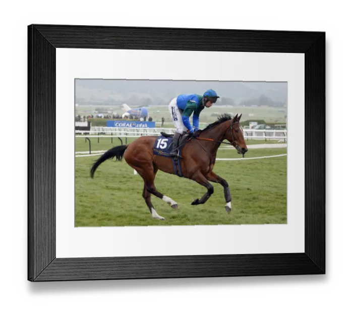 Framed Print : Royal Paradise Framed Print : Royal Paradise