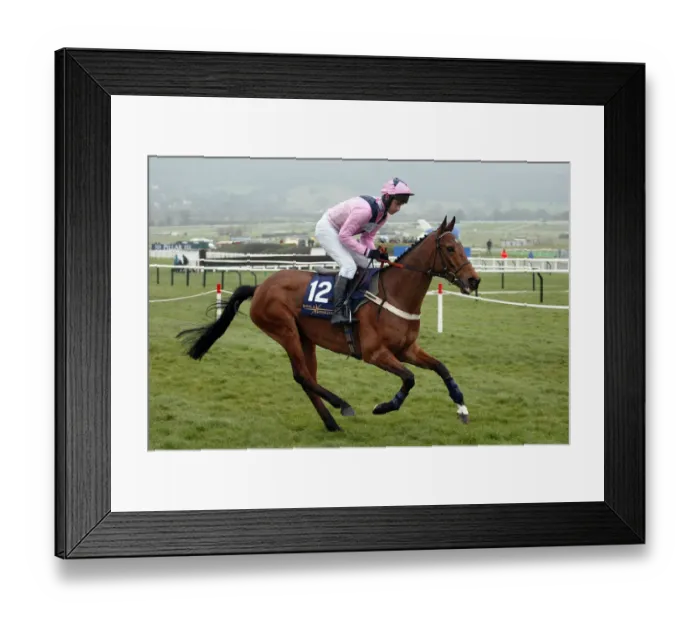 Framed Print : Regents Walk Framed Print : Regents Walk