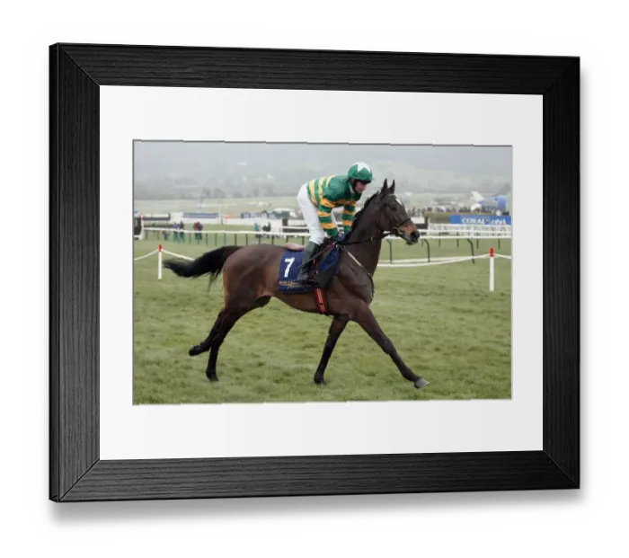Framed Print : Olaso Ridden By D.J.Casey Cheltenham Festival 2005 Cheltenham Racecourse Framed Print : Olaso Ridden By D.J.Casey Cheltenham Festival 2005 Cheltenham Racecourse
