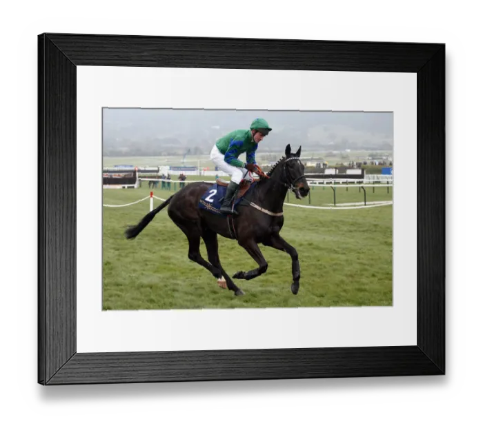 Framed Print : Black Apalachi Framed Print : Black Apalachi