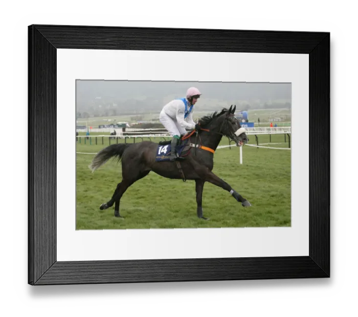 Framed Print : Roman Ark Ridden By A.Dobbin Cheltenham Festival 2005 Cheltenham Racecourse Framed Print : Roman Ark Ridden By A.Dobbin Cheltenham Festival 2005 Cheltenham Racecourse