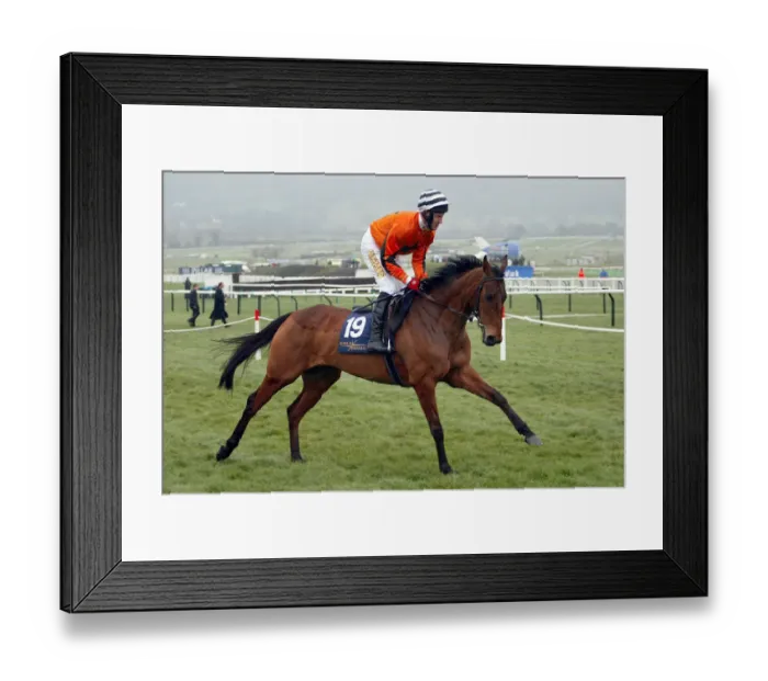 Framed Print : Court Leader